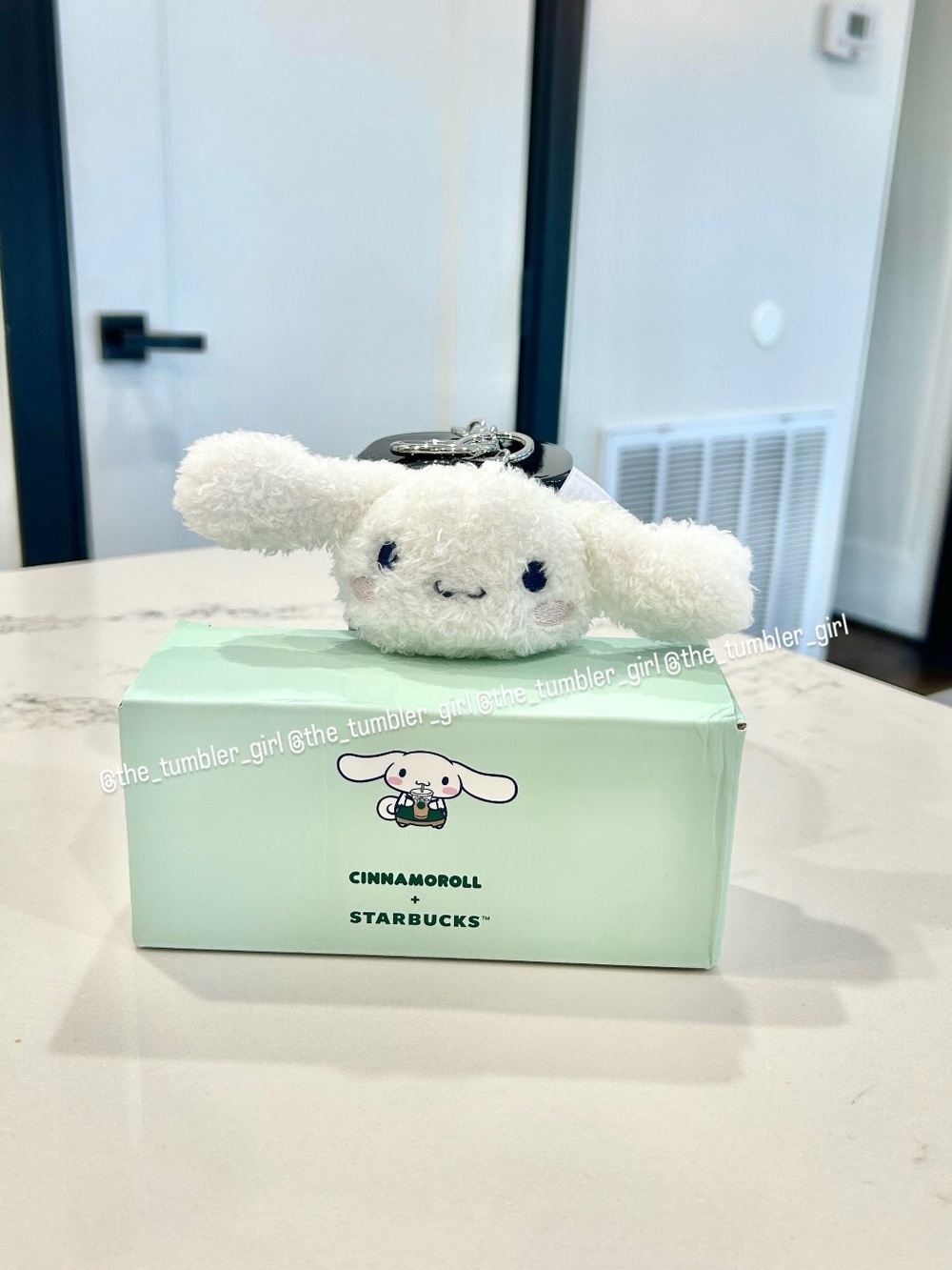 Starbucks Philippines Exclusive Cinnamoroll Series Plushie Keychain